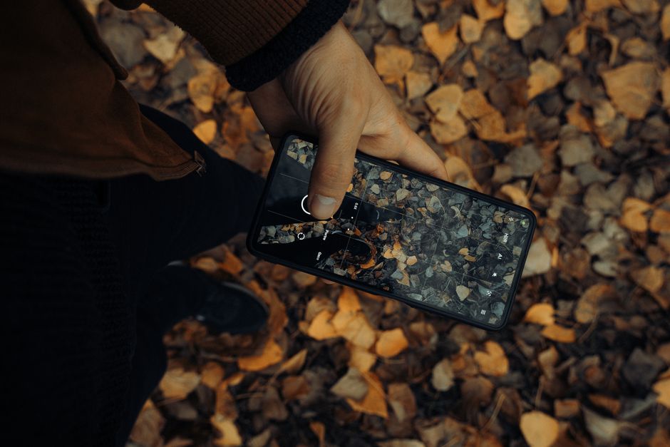 Hand holding smartphone photographing fallen autumn leaves on ground.
