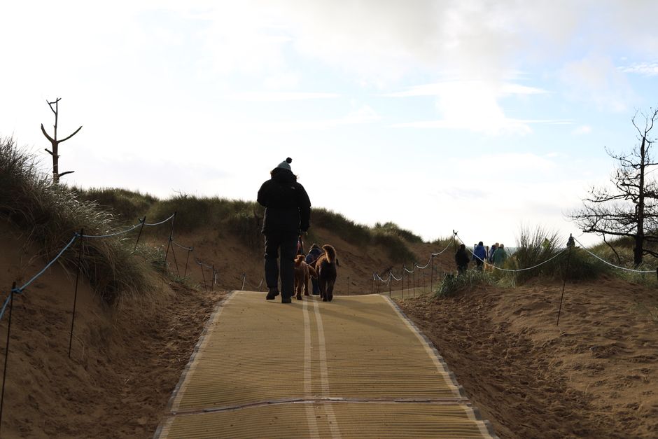 A man walks two dogs on a sandy path through dunes, highlighting leisure and nature.