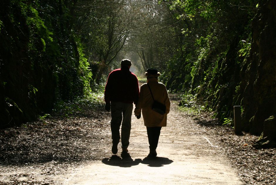 A senior couple walks hand in hand through a serene tree tunnel in Bristol, UK, enjoying a