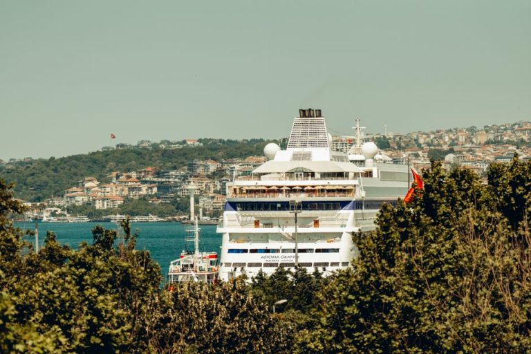Cruise Vacation Movies for Better Sea Days