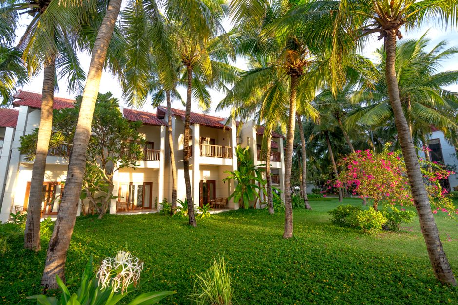Serene tropical garden with lush foliage, palm trees, and charming villas.