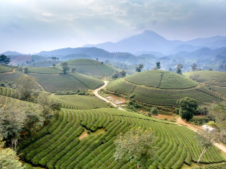 Eco-Friendly Hostels Southeast Asia Under : Eco-Friendly Hostels in Southeast Asia Under  (2026 Guide)
