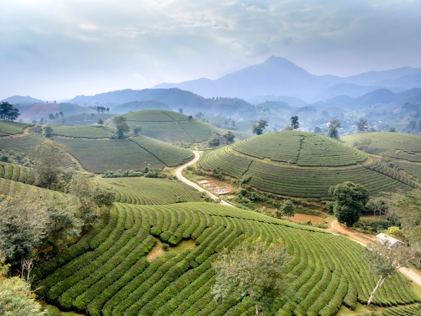 Eco-Friendly Hostels Southeast Asia Under : Eco-Friendly Hostels in Southeast Asia Under  (2026 Guide)