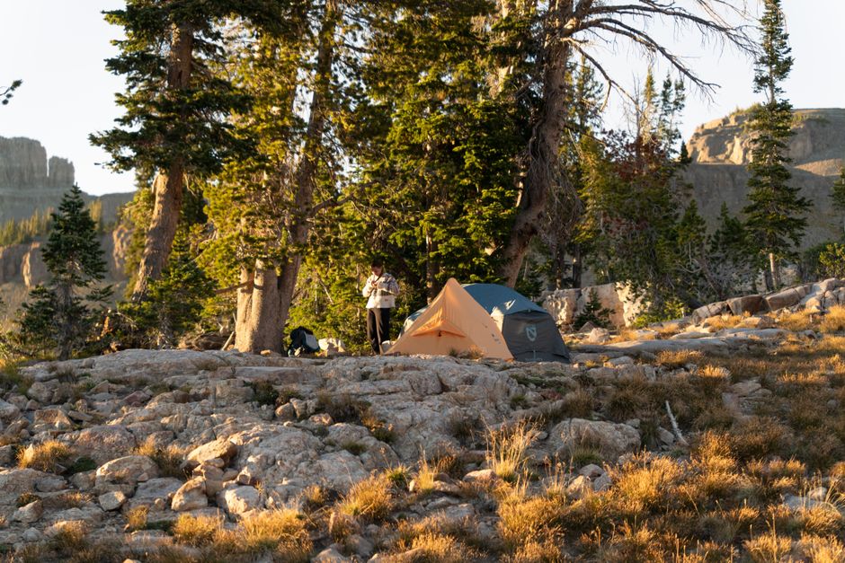 Tent camping in the wilderness of Grand Teton National Park during a sunny day.