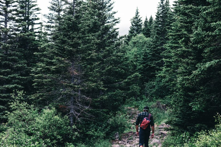 Adult male hiker with backpack walking through a dense forest trail in serene nature setting.