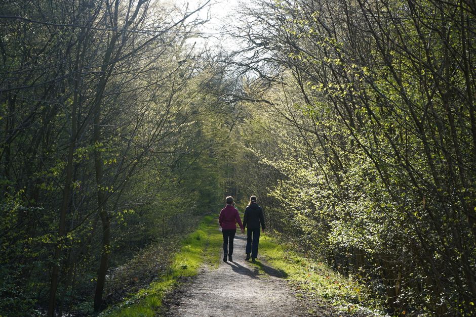 A couple walks along a sunlit forest path with lush greenery framing their journey.