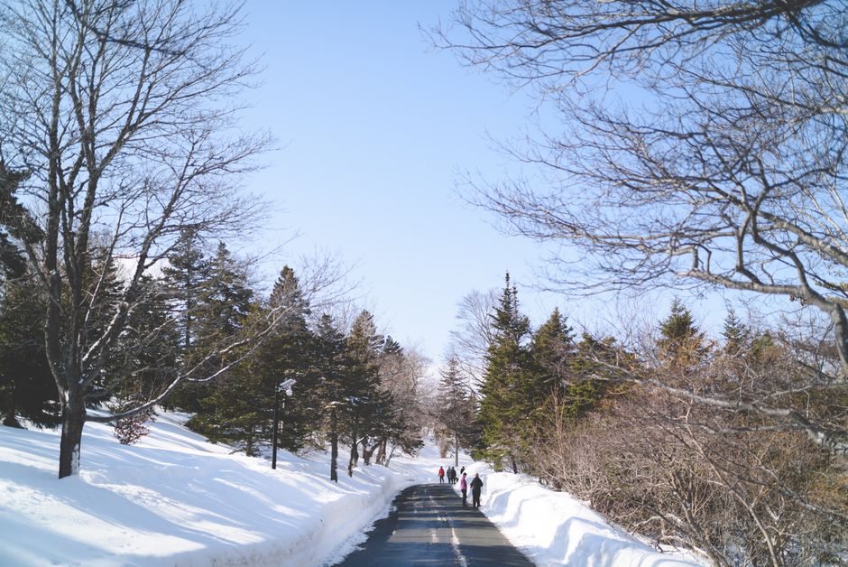People walking down a snowy path through a scenic winter scene with clear blue sky.