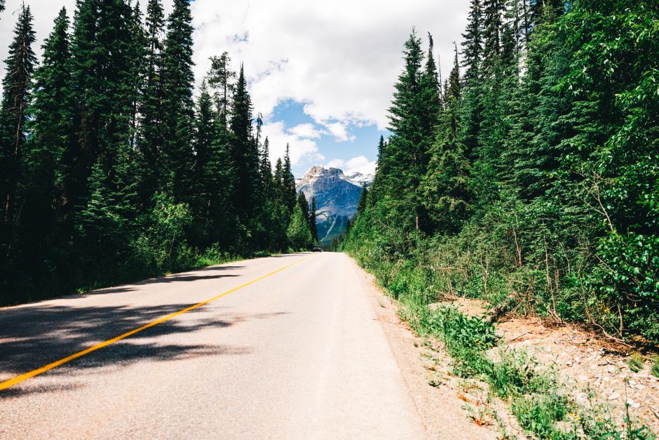 A scenic road cutting through lush forest in Field, British Columbia, with mountains in the background.