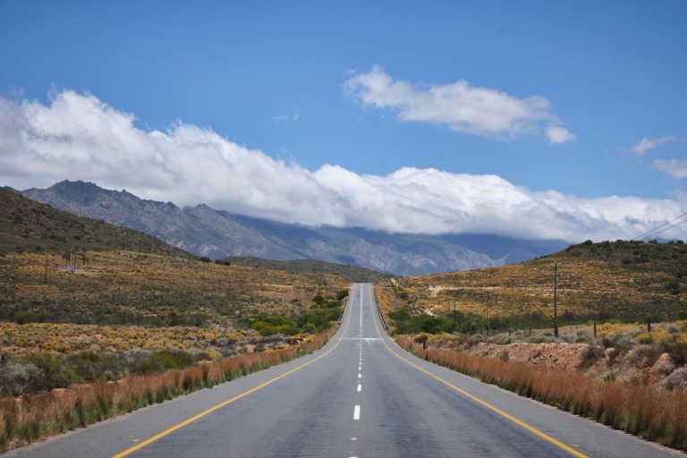 Road Trip Through National Parks with Young Kids: Is It Worth It?