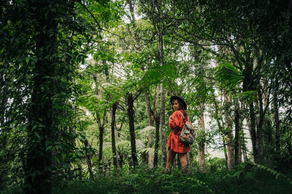 A stylish woman in a hat and backpack explores a lush green forest during a hike.