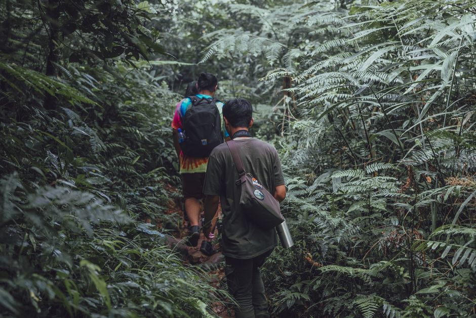 Two men hiking on a forest trail in Indonesia, surrounded by dense greenery.