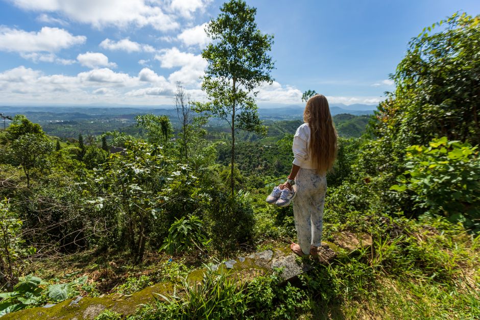 A woman enjoys a breathtaking view from a hilltop in Vietnam, surrounded by lush greenery.
